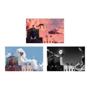 Ss502326U Marvel Set Of 3 Art Prints Spider Man 30 X 46 Cm Unframed