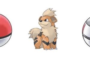 Pokemon Cintura Con Sfere Poke