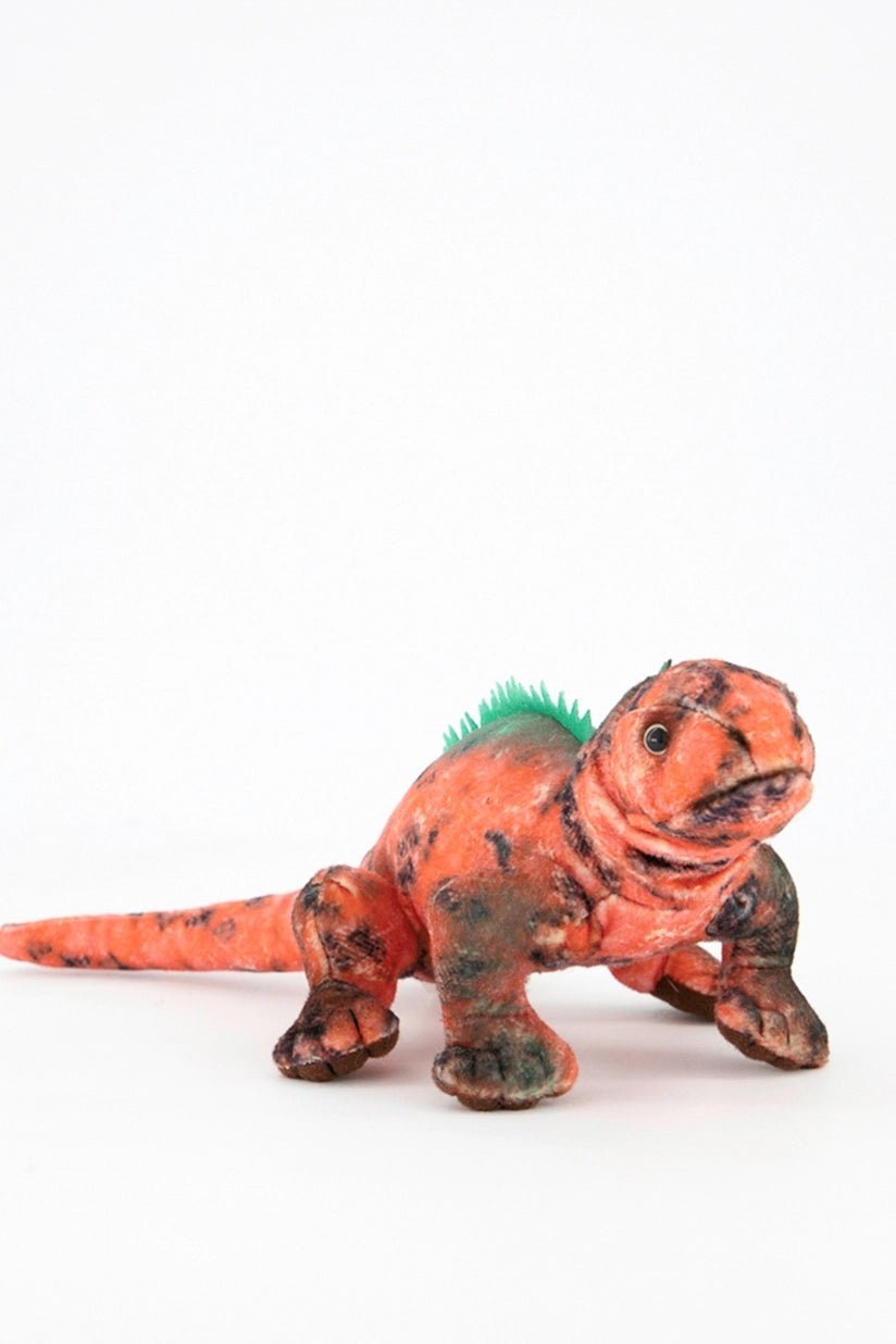 National Geographic Peluche Iguana 30 Cm Plush