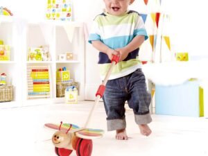 Farfallina Spingibile Con Bastone In Legno Hape
