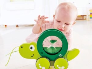 Tartaruga Trainabile Gioco Legno Infanzia Hape