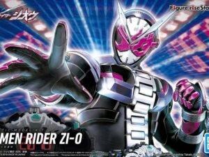 Figure Rise Standard