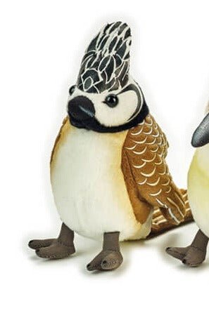 Peluche Pappagalli National Geographic Bird 14 Cm