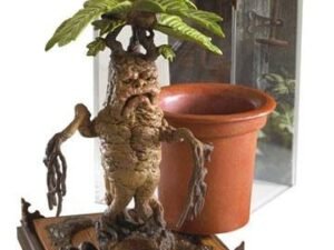Nob7699 Harry Potter Magical Creatures Statue Mandrake 13 Cm