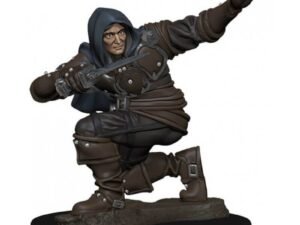 Pathfinder Battles Premium Miniature Pre Painted Human Rogue Male Case