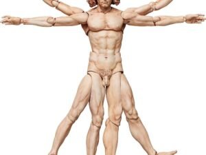 Vitruvian Man The Table Museum Figma Action Figure 16 Cm