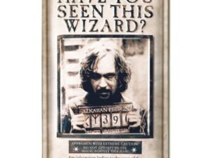 Harry Potter 3D Tin Sign Have You Seen This Wizard 20 X 30 Cm