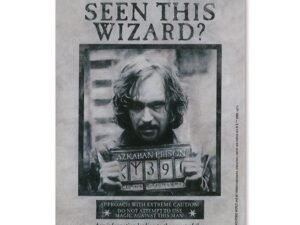 Harry Potter Tin Sign Have You Seen This Wizard 15 X 21 Cm