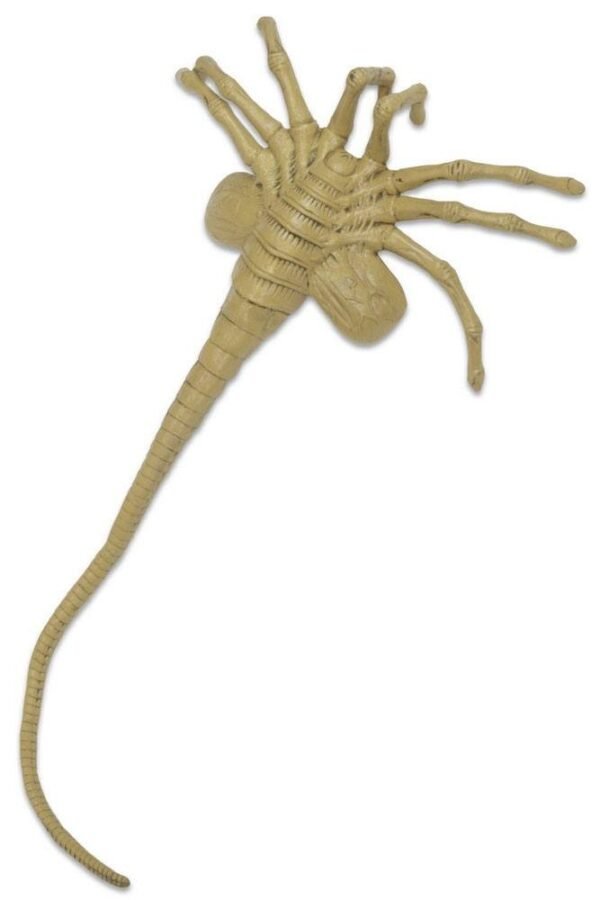 Facehugger 105 Cm Replica 1 1 Aliens Foam Neca 51355 End February 2021