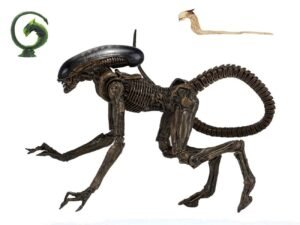 Dog Alien 23 Cm Action Figure Ultimate Alien 3 1992 Xenomorfo Cane Neca 51597