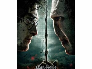 Harry Potter Jigsaw Puzzle Harry Vs Voldemort