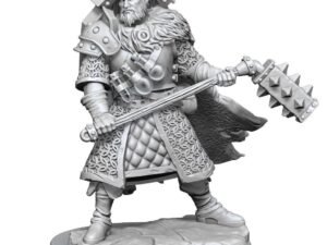 Dungeons Dragons Frameworks Miniature Model Kit Human Fighter Male