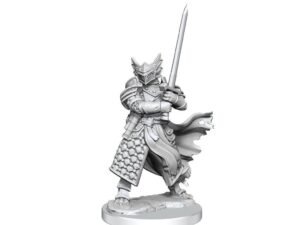 Dungeons Dragons Frameworks Miniature Model Kit Dragonborn Paladin Male