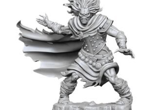 Dungeons Dragons Frameworks Miniature Model Kit Wight