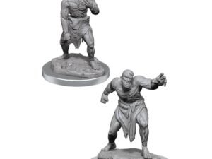 D D Nolzurs Marvelous Miniatures Unpainted Miniatures 2 Packs Flesh Golems